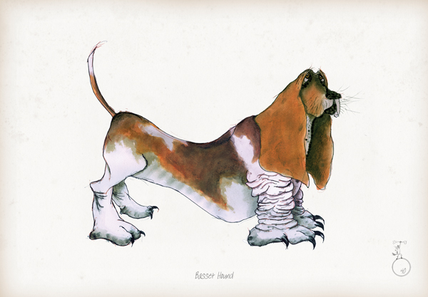 Basset Hound - Fun Dog Cartoon Print by Tony Fernandes