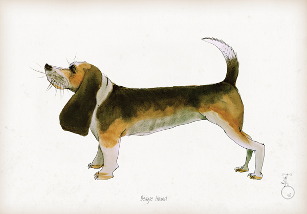 Beagle - Fun Dog Art Print by Tony Fernandes