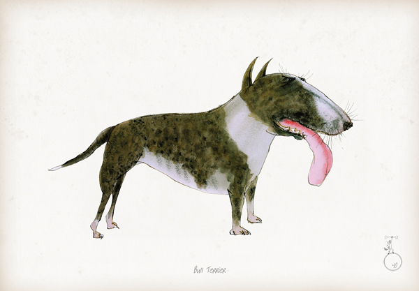 Bull Terrier - Fun Dog Cartoon Print by Tony Fernandes