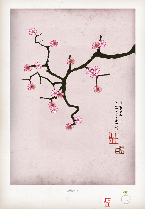 Cherry Blossom Print - Sakura II by Tony Fernandes