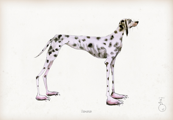 Dalmatian - Fun Dog Art Print by Tony Fernandes