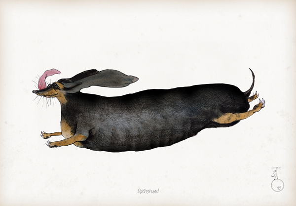 Daschund - Fun Dog Art Print by Tony Fernandes