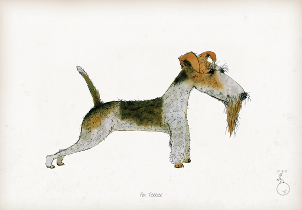 Fox Terrier - Fun Dog Cartoon Print by Tony Fernandes