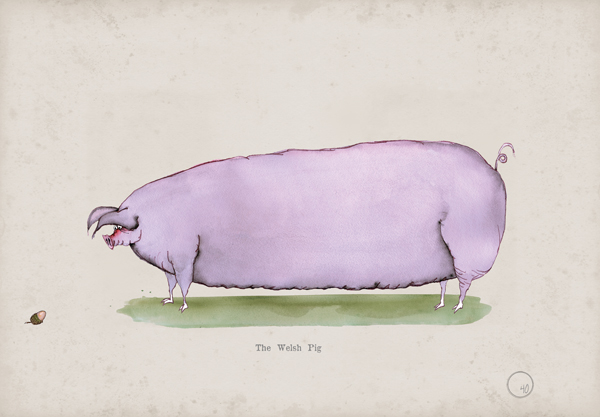 The Welsh Pig, fun heritage art print by Tony Fernandes