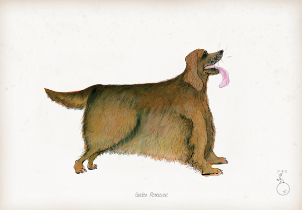 Golden Retriever - fun dog art print by Tony Fernandes