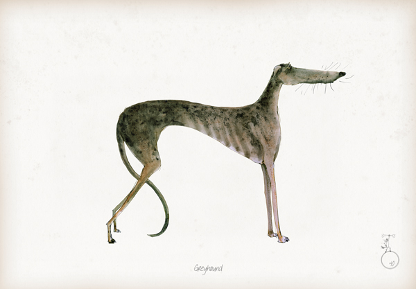 Greyhound - Fun Dog Art Print by Tony Fernandes