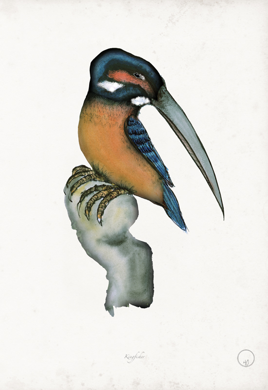 Kingfisher art print by Tony Fernandes