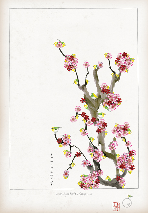 IX - White Eyed Birds in Sakura by Tony Fernandes