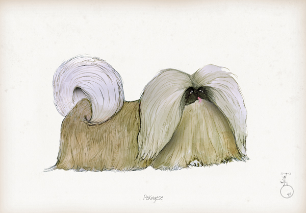 Pekingese - Fun Dog Cartoon Print by Tony Fernandes