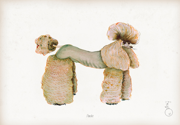 Poodle - Fun Dog Cartoon Print by Tony Fernandes