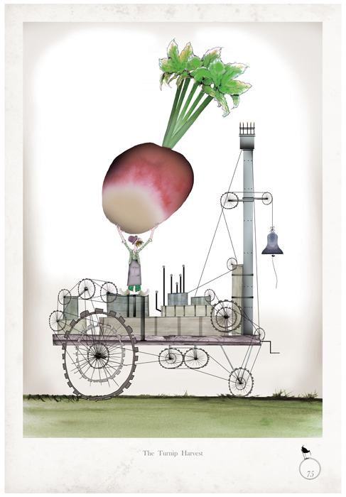Turnip - Whimsical Kitchen Vegetable Print by Tony Fernandes