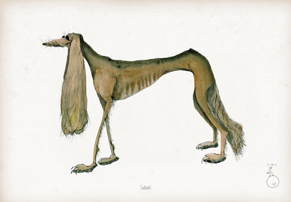 Saluki - Fun Dog Art Print by Tony Fernandes