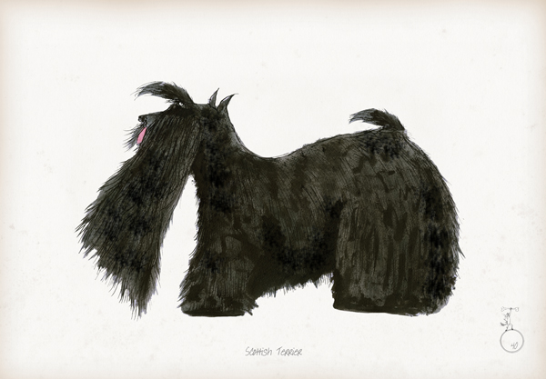 Scottish Terrier - fun dog art print by Tony Fernandes