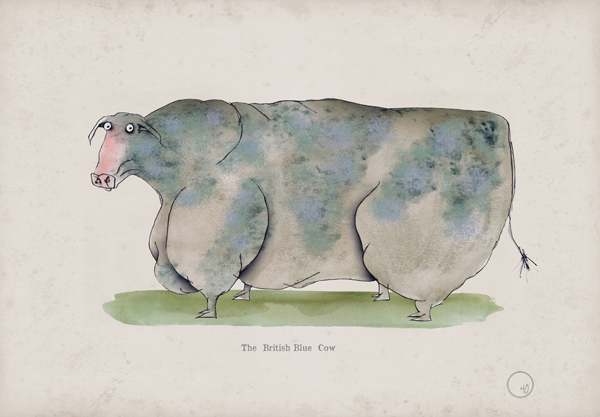 The British Blue Cow, fun heritage art print by Tony Fernandes