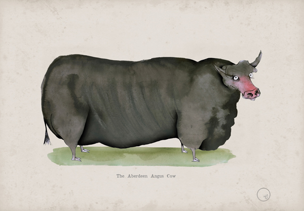 The Aberdeen Angus Cow, fun heritage art print by Tony Fernandes