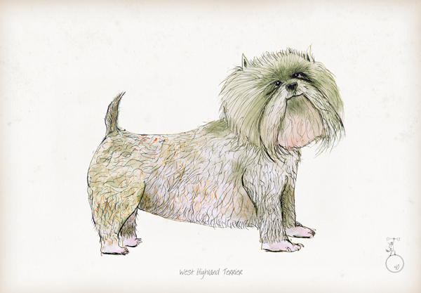 West Highland Terrier - fun dog art print by Tony Fernandes