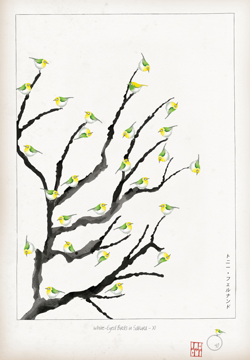 XI - White Eyed Birds in Sakura by Tony Fernandes