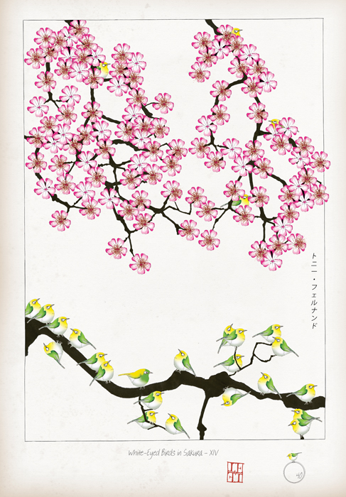 XIV - White Eyed Birds in Sakura by Tony Fernandes