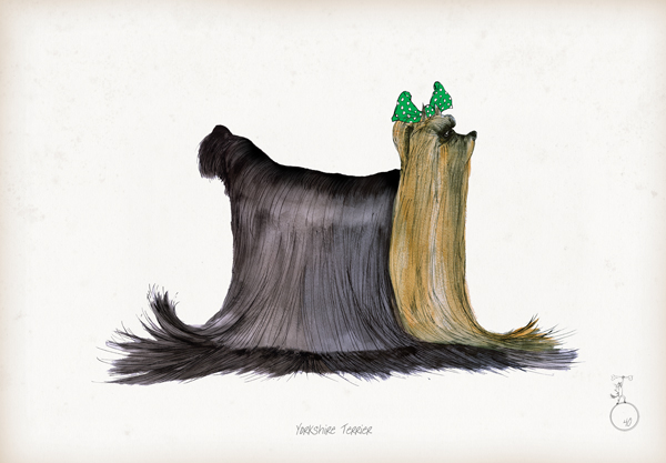 Yorkshire Terrier - fun dog art print by Tony Fernandes
